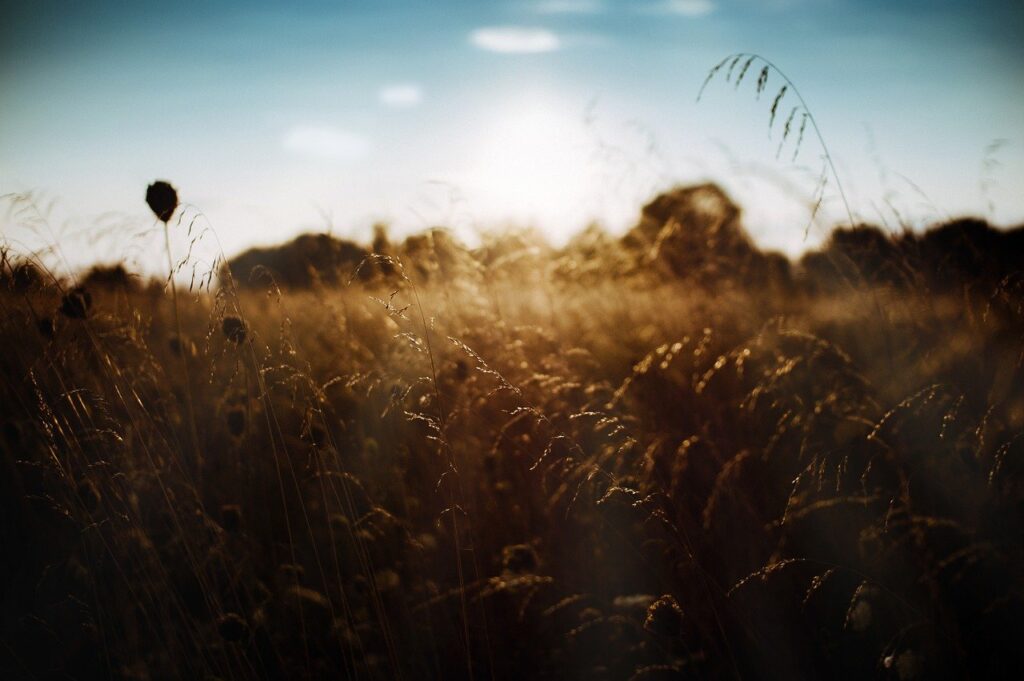 nature, sunset, outdoors-background