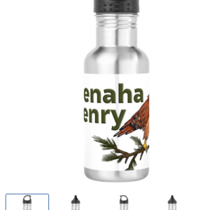 Wenaha Henry Water Bottle, Stainless Steel, Reusable 18 oz Stainless Steel Water Bottle