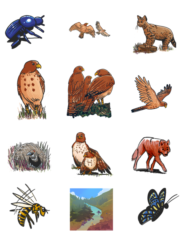 Stickers-Wenaha Henry Children's Book about Nature