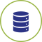 Icon 1